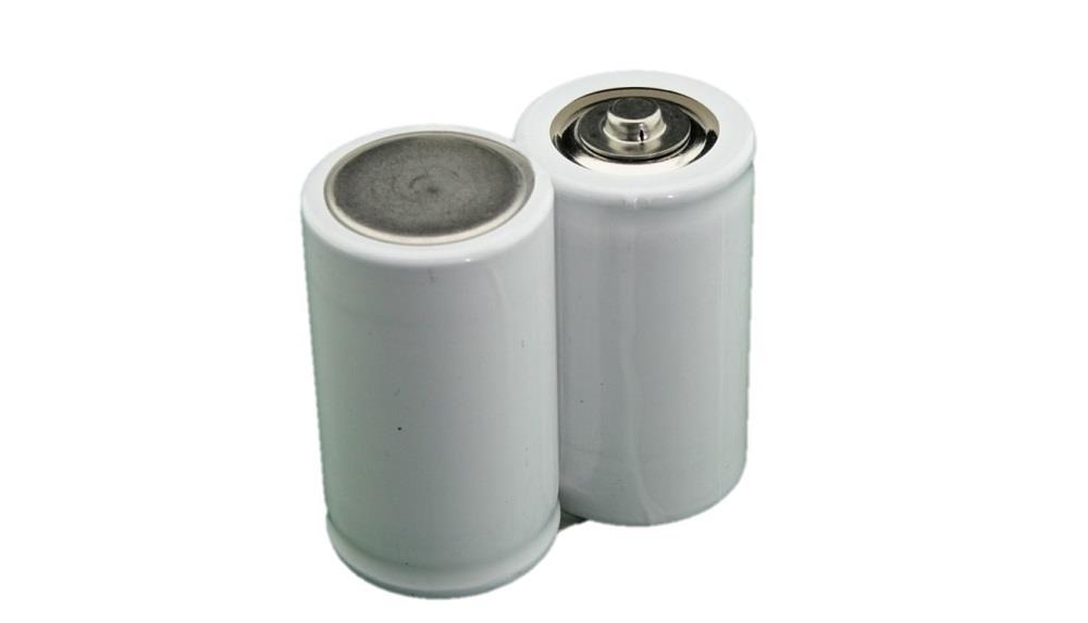 Noodverlichting Pack D NT SBS 2,4V 4000mAh