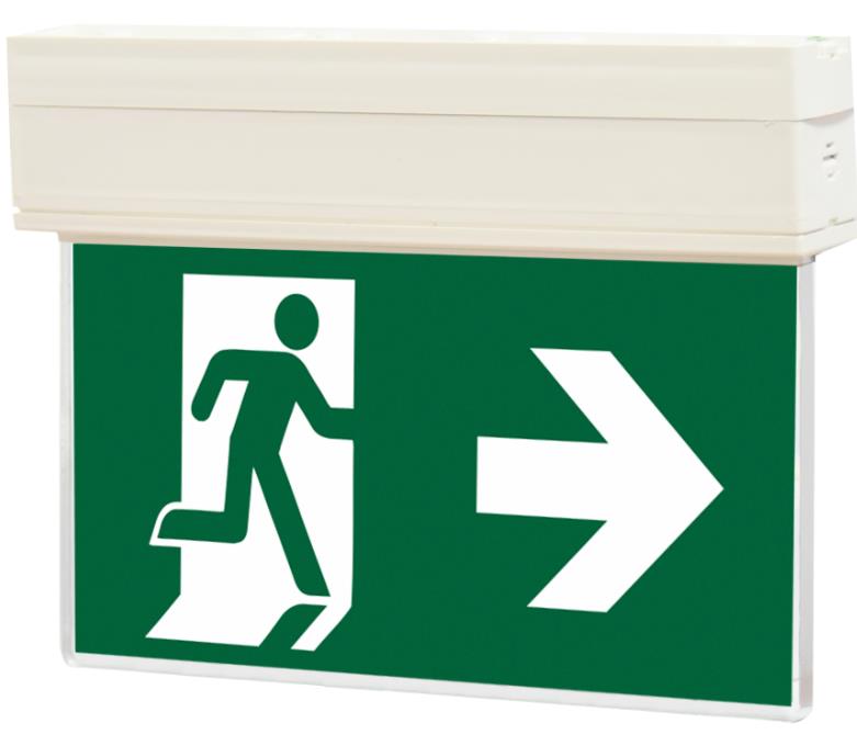 KLD-22/CBS for CBS 230V AC 100lm