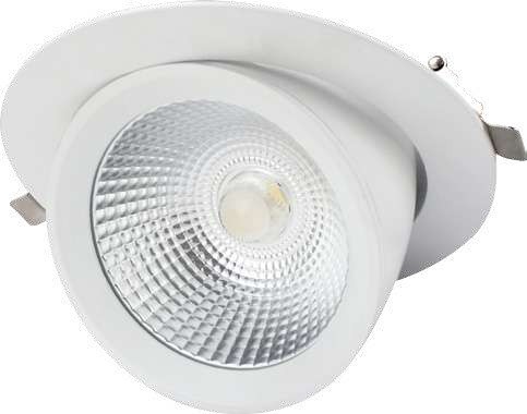 Cardanische Downlighter SLG51 D157 3000K 30W  voorzien van Noodverlichting + Autotest