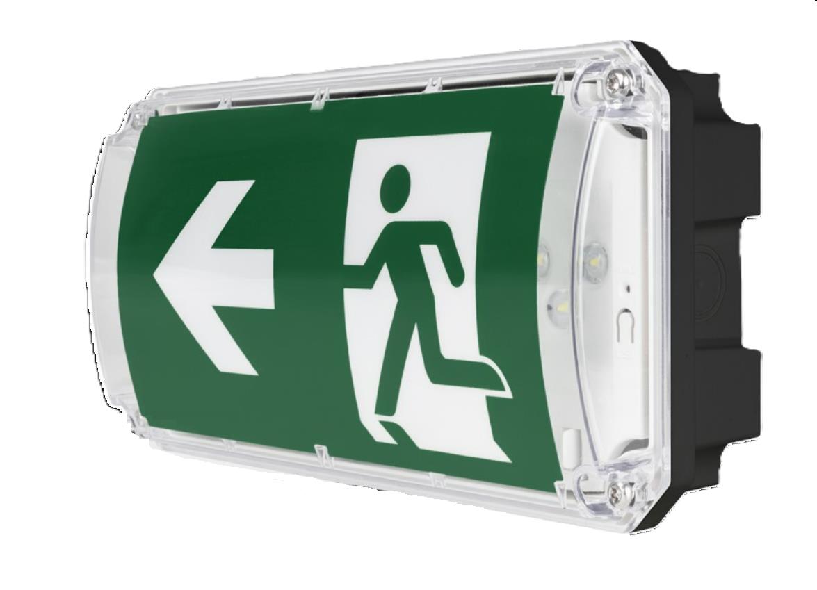 Noodverlichting TIGRE BLACK 3W IK10 IP66 150LM AUTOTEST