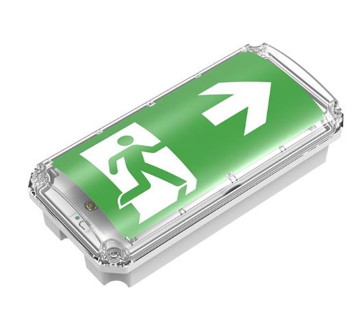 Noodverlichting TIGRE 4.5W IK10 IP66 300LM AUTOTEST